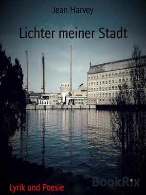 cover image of Lichter meiner Stadt